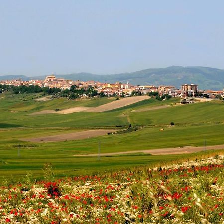 Alloggio Cattedrale Troia Luaran gambar